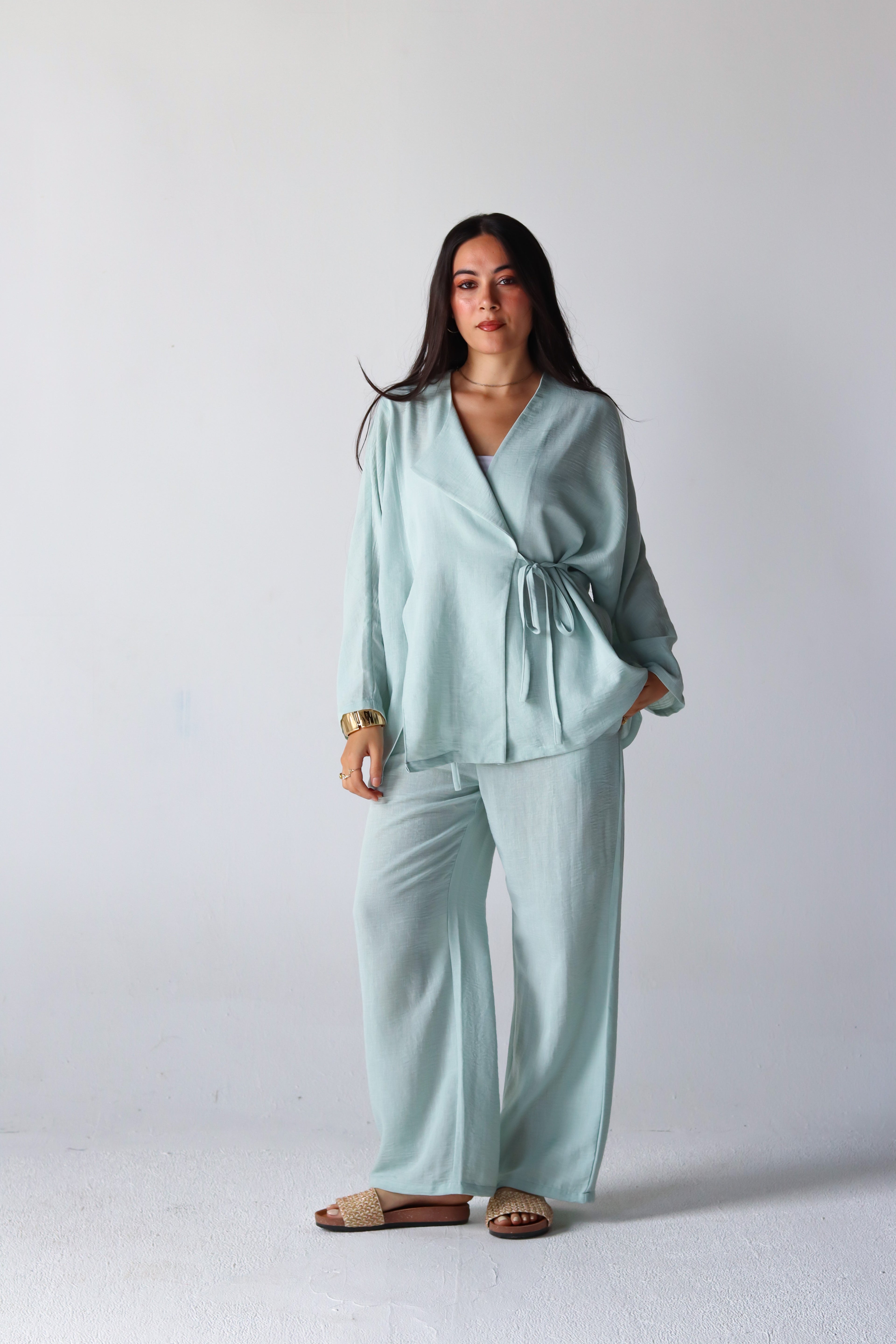 Wide Leg Linen Pants in Mint